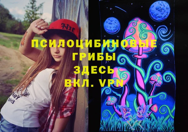 марки lsd Вяземский