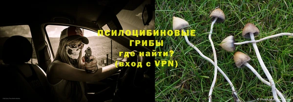 не бодяженный Горно-Алтайск