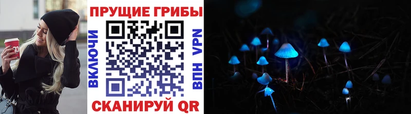 Купить где  Красновишерск  Псилоцибиновые грибы Psilocybine cubensis 
